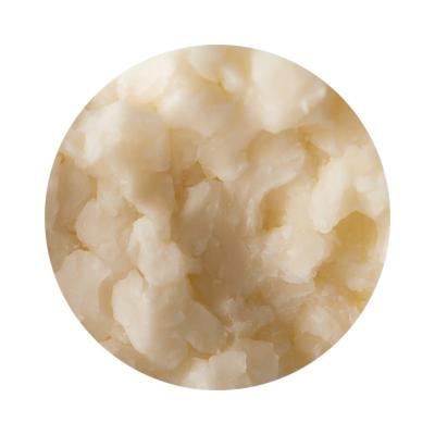 Monterey Jack
