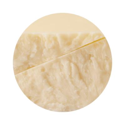 Fontina