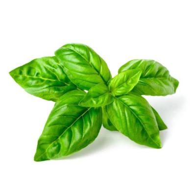 Infused Olive Oil - Basil