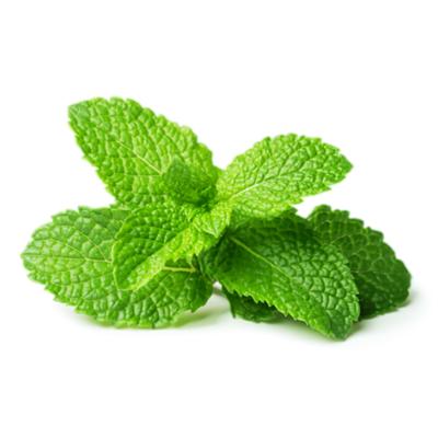 Essential oil - Spearmint
