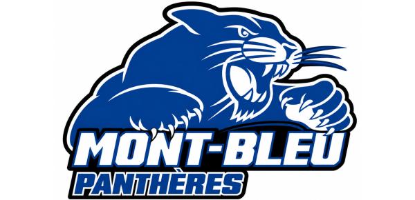 École secondaire Mont-bleu | Cheer Panthères