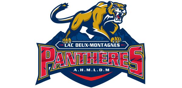 AHMLDM Panthères M17 B1