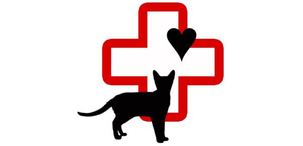 Refuge et Adoption chats de Québec